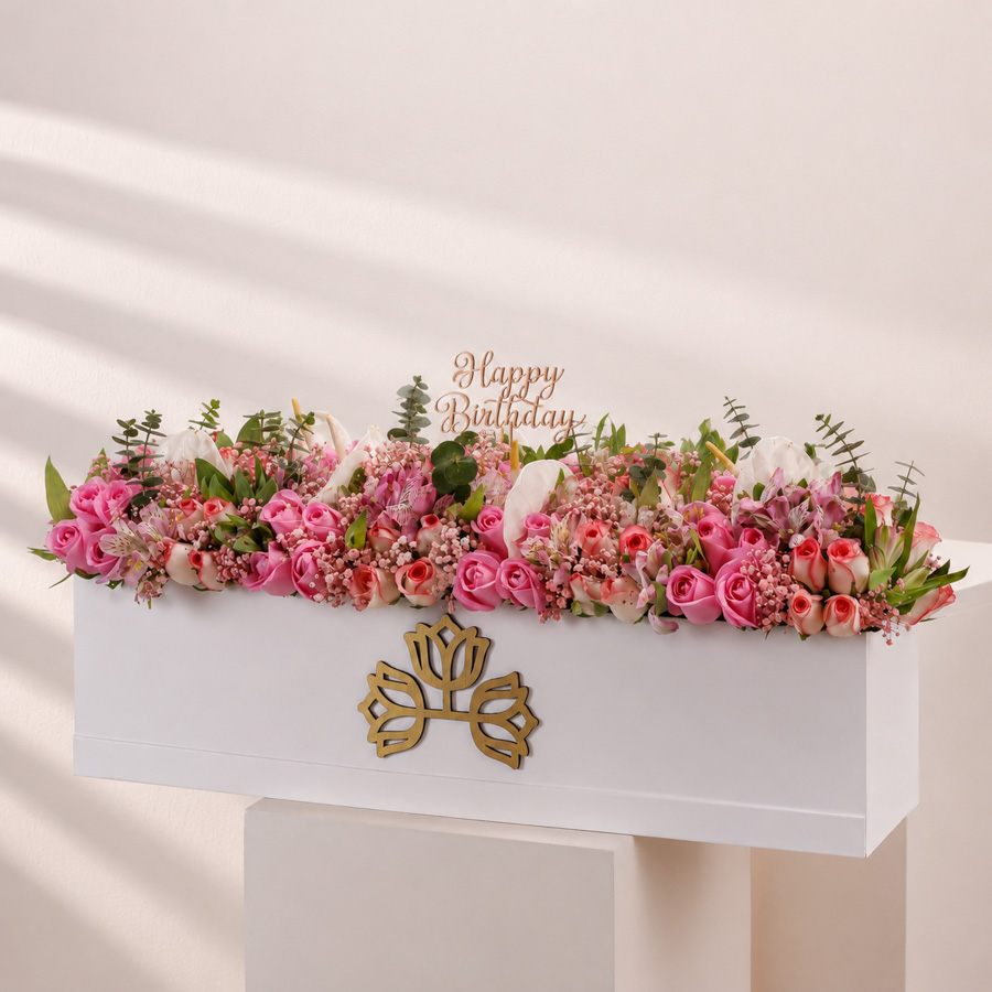  ANTHURIUM LONG BOX - SPECIAL EDITION